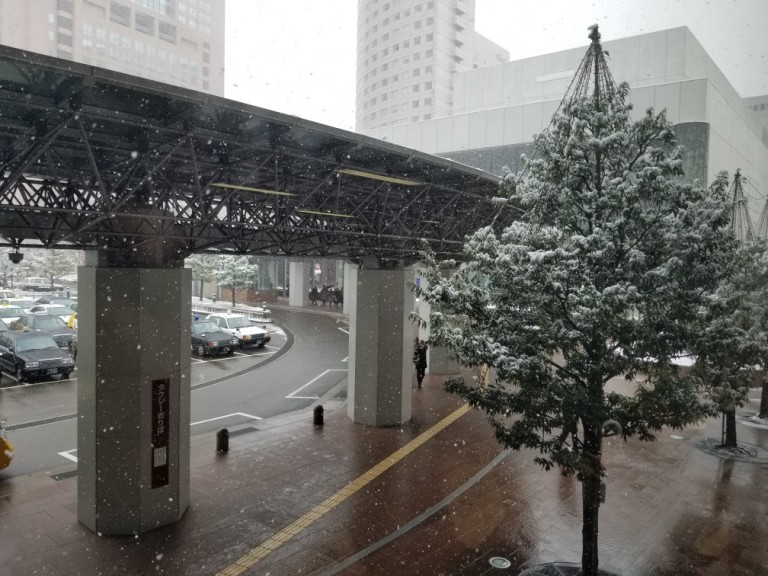 またまた仲間が増えました（石川）